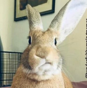 Meet your Posher, Angie